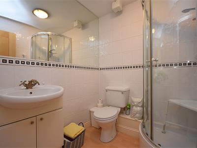 Picture 11